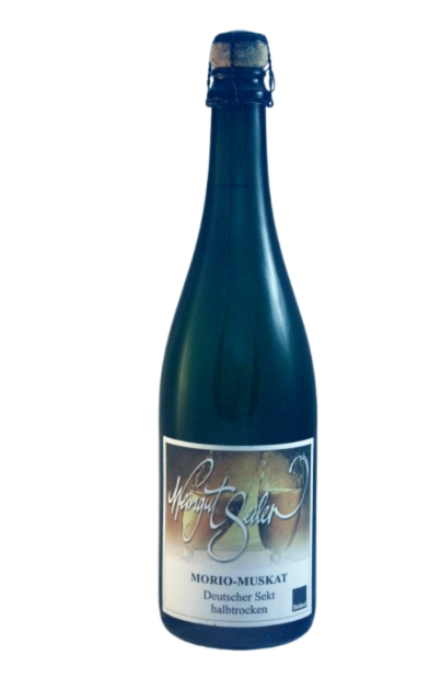 Morio ohne Hintergrund