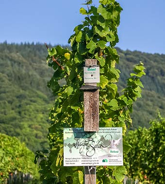 Insektennistholz am Endpfosten