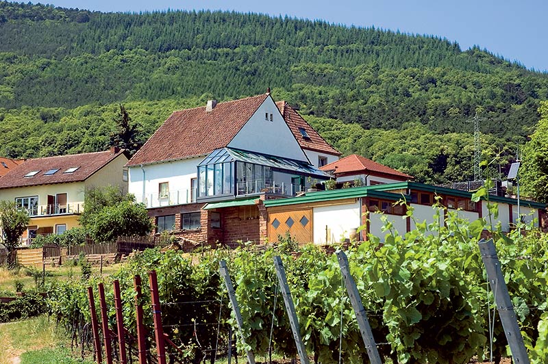 Bioland-Weingut Ludwig Seiler