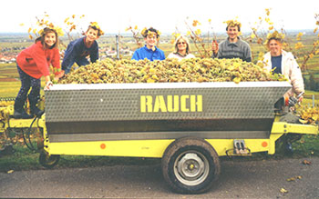 Weinlese 2002 mit Traubenwagen
