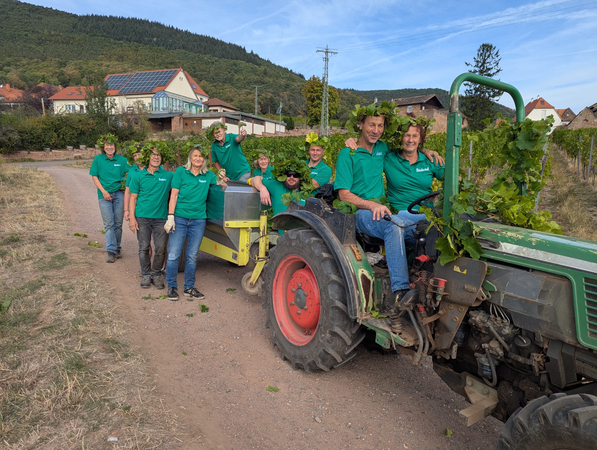 Weinlese 2026 Abschluss