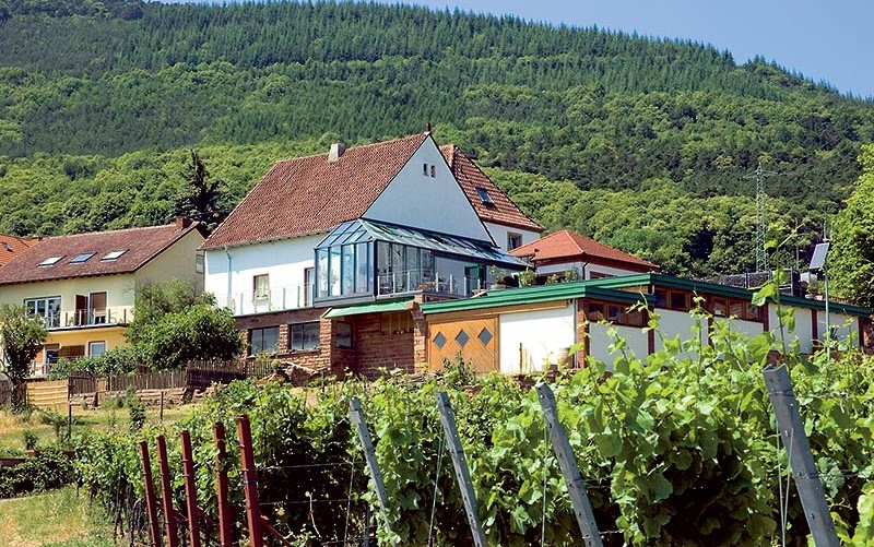 Weingut mit Gästehaus