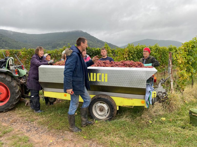 Ein Wagen voll Sauvignac